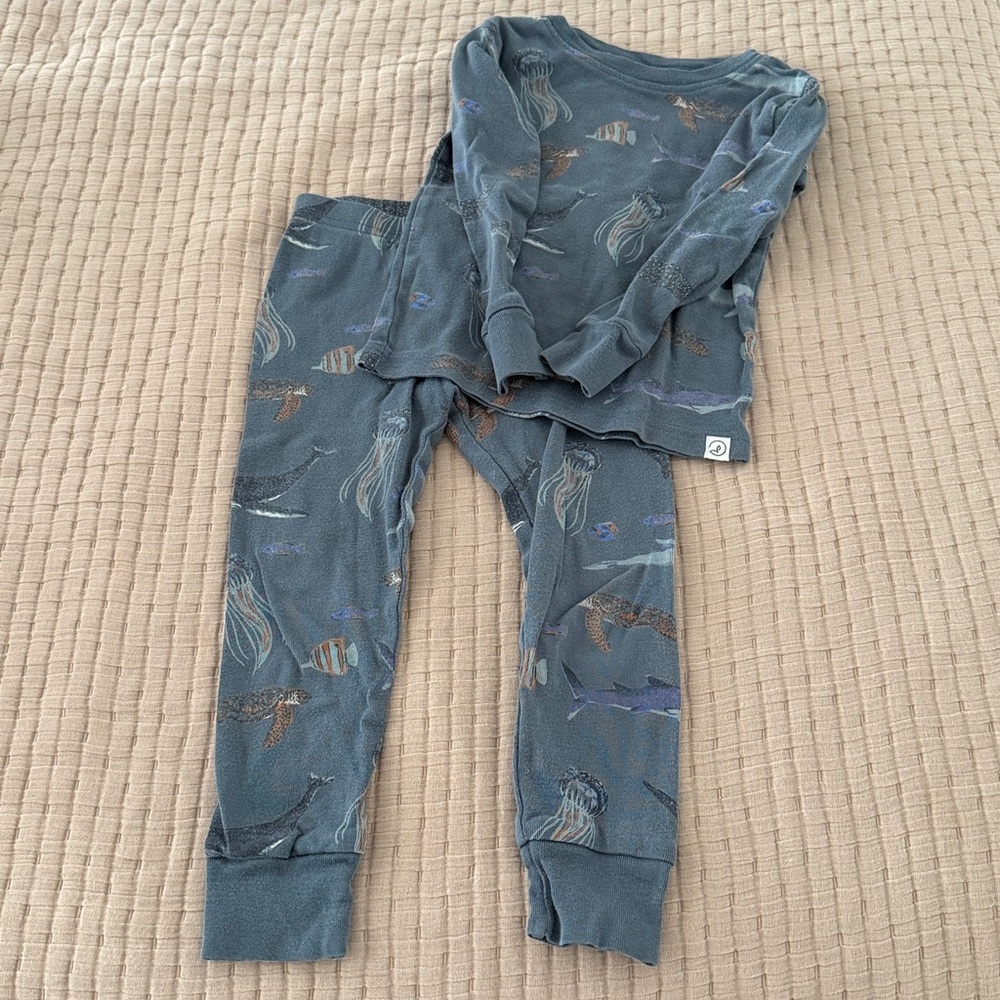 Carters Little Planet Ocean Pajamas